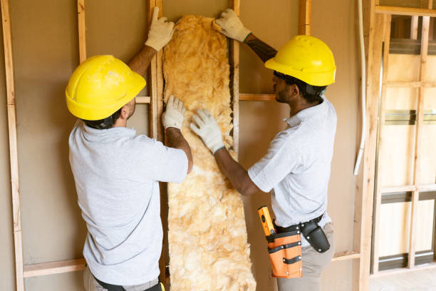 Best Wall Insulation Contractor  in Hazelwood, MO