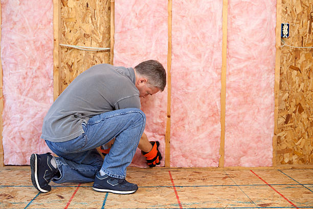 Best Energy-efficient Insulation  in Hazelwood, MO