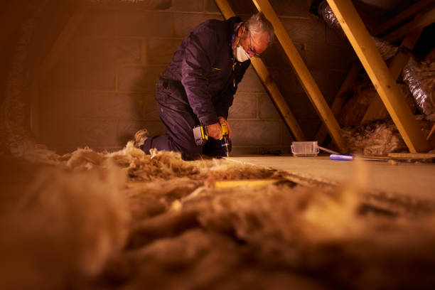 Insulation Inspection Services in Hazelwood, MO