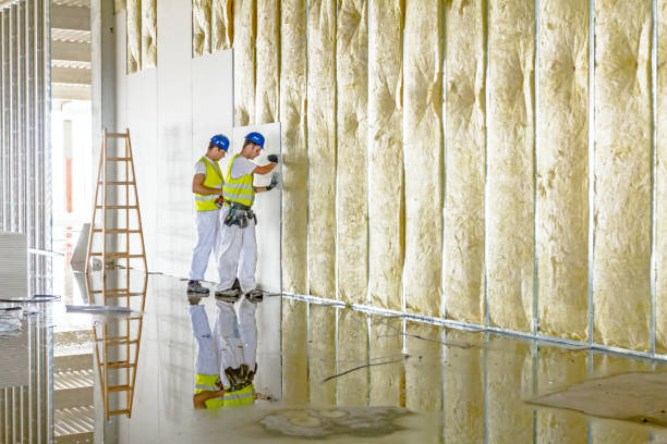 Best Crawl Space Insulation  in Hazelwood, MO